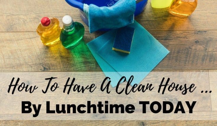 Hardwood flooring with bottles of cleaning products, a bucket, sponges and rags for cleaning