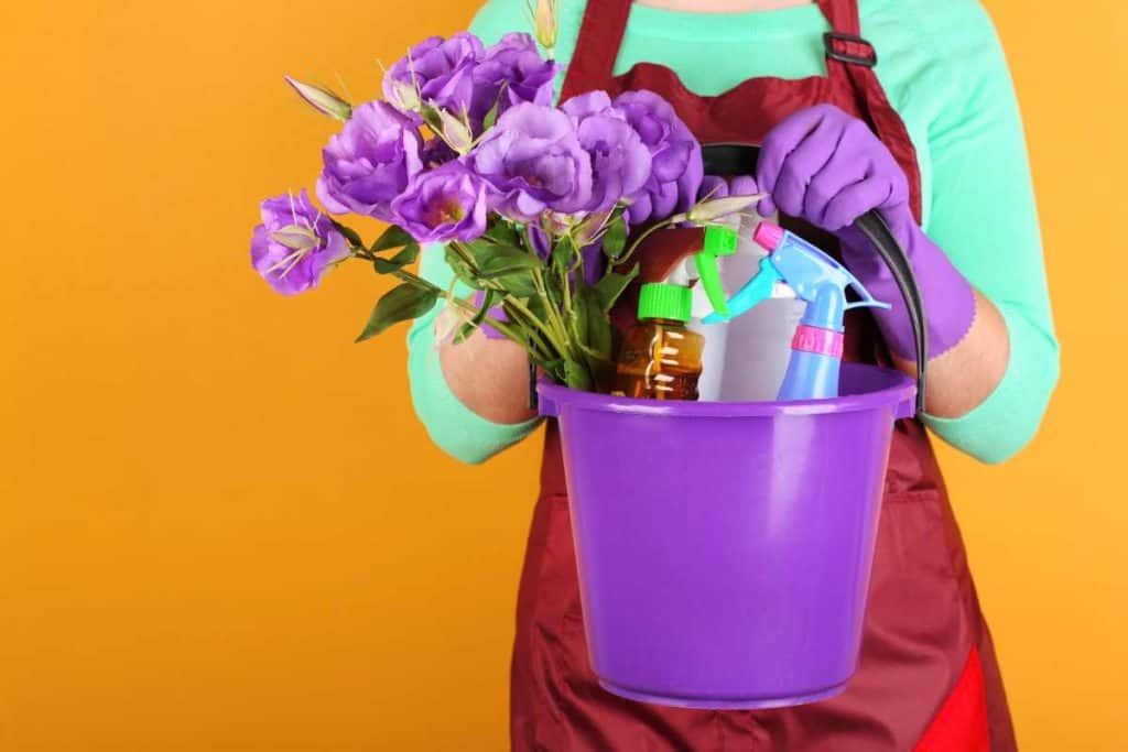 Woman in an apron holding a purple bucket filled with cleaning supplies and purple flowers for spring cleaning