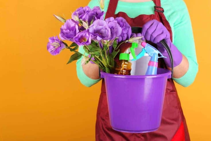 Woman in an apron holding a purple bucket filled with cleaning supplies and purple flowers for spring cleaning