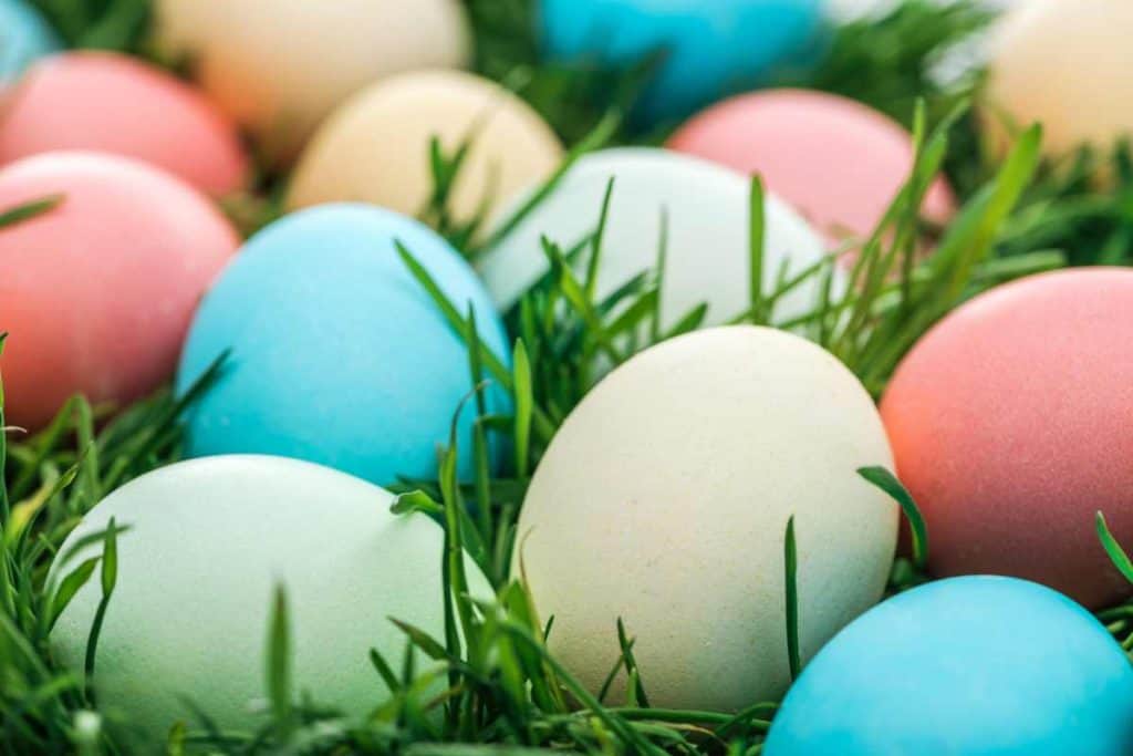 Colorful easter eggs sitting in grass