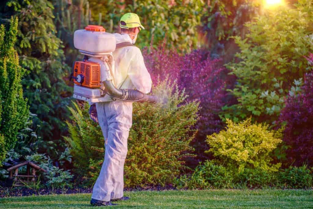 Pest control company employee spraying a back yard for pests and bugs.