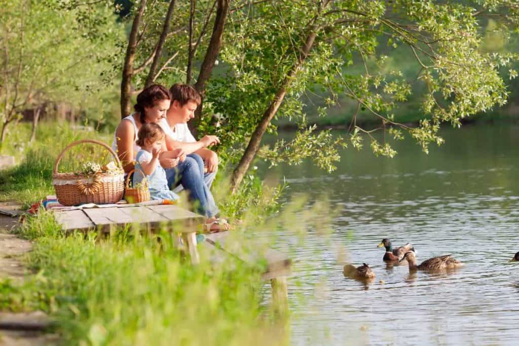 A mom and dad with thier toddler on a dock throwing food to ducks in the water nearby