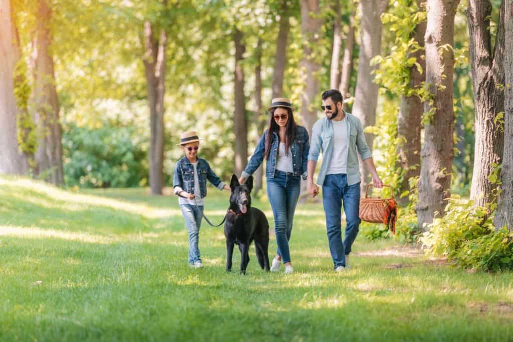 A family out for a walk with their dog and a picnic basket