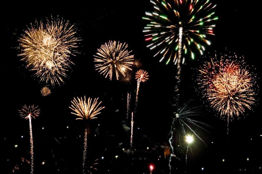 Fireworks going off in the dark sky.