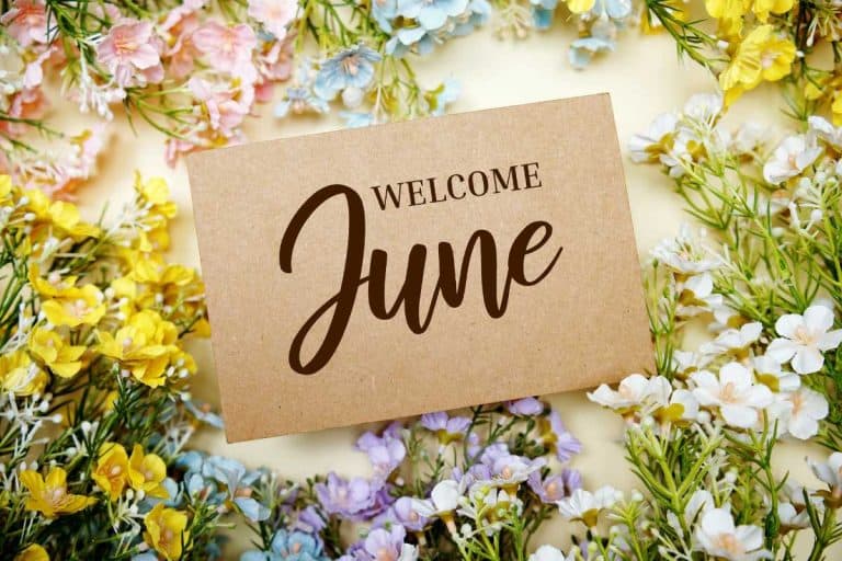 Welcome June sign surrounded by cut wildflowers laying on a table