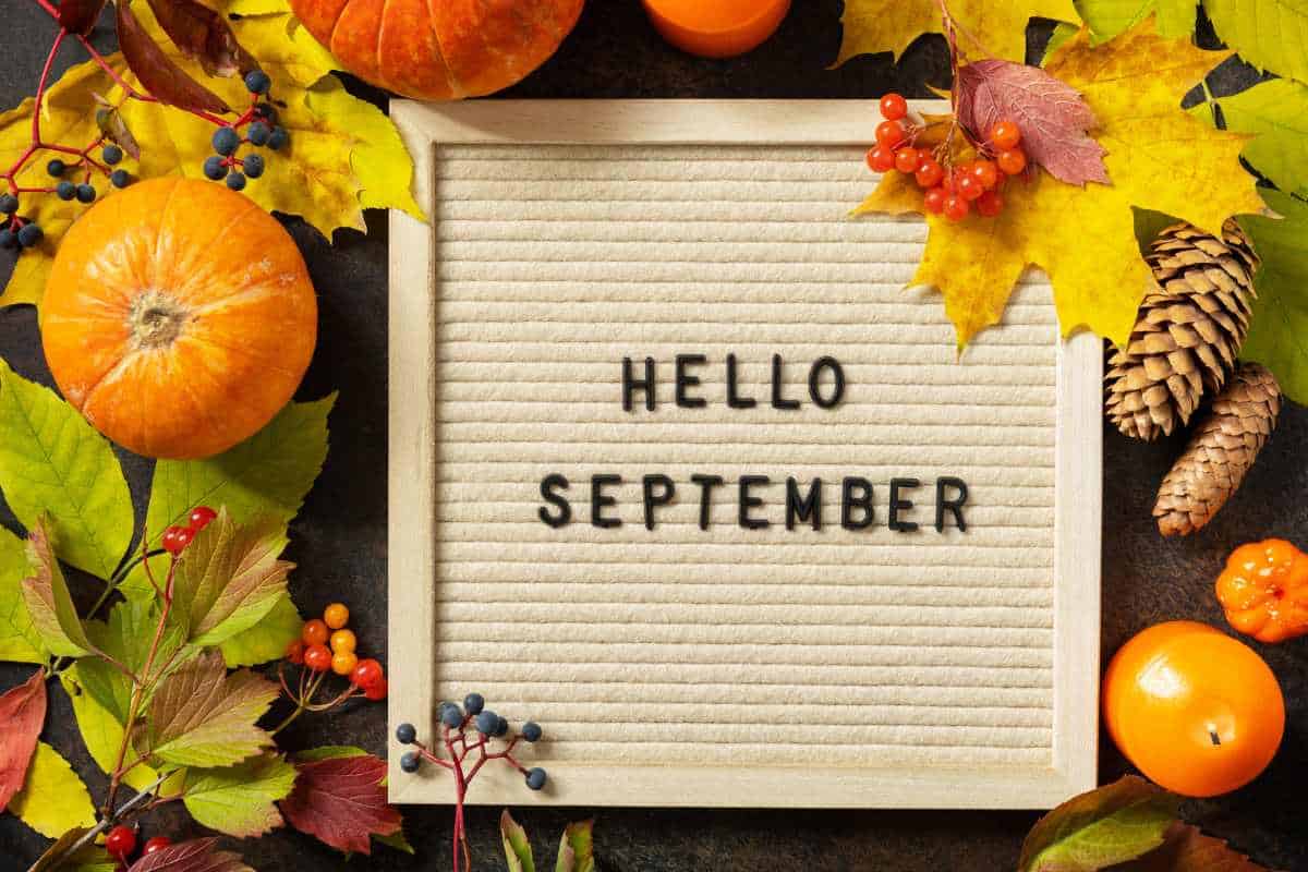 A Hello September corkboard sign surrounded by Fall foilage and candles and pumpkins