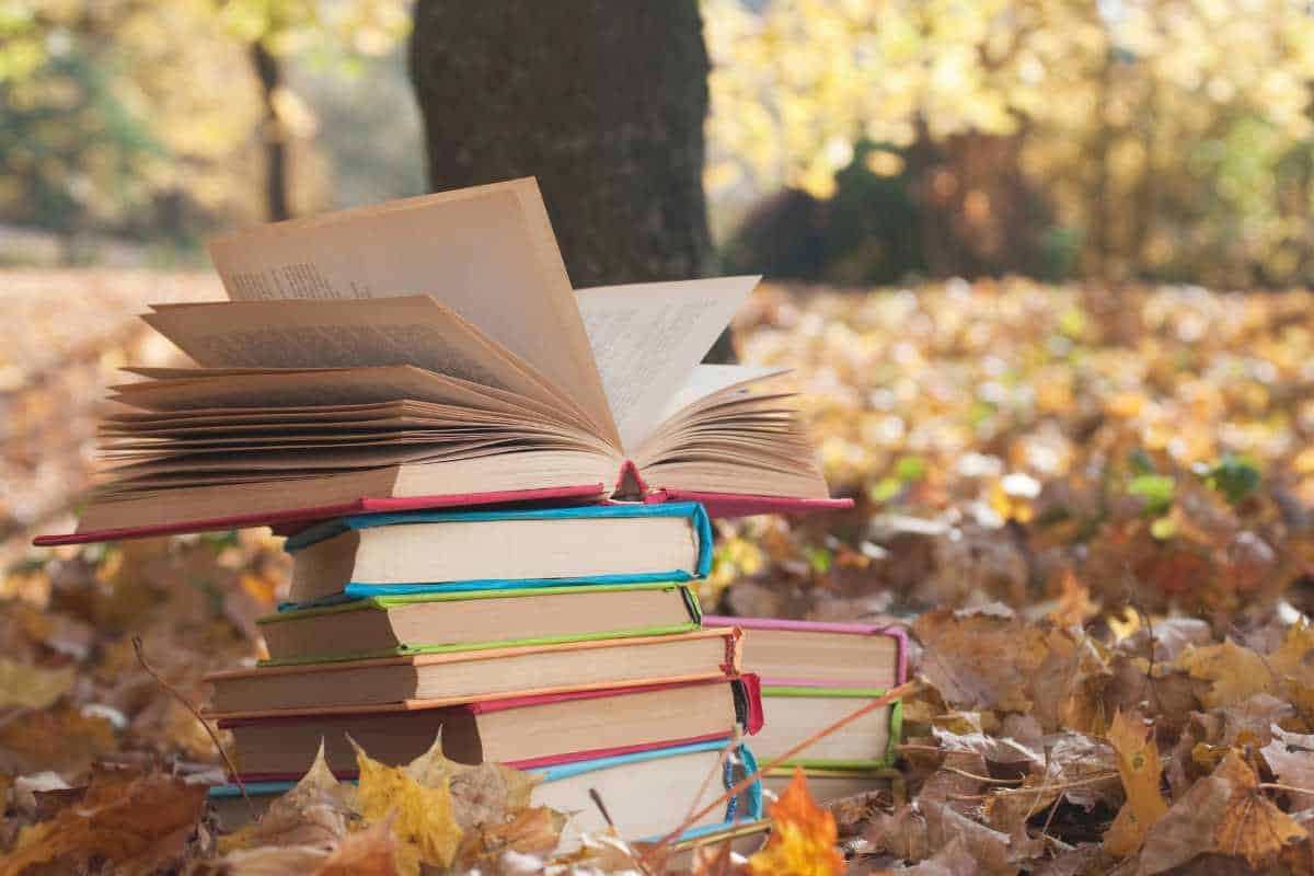 A stack of books sitting in a pile of Fall leaves in a forest on a sunny Fall day