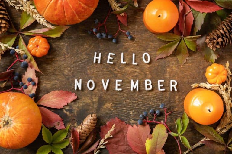 A hello november picture with lots of candles, leaves and pinecones all around