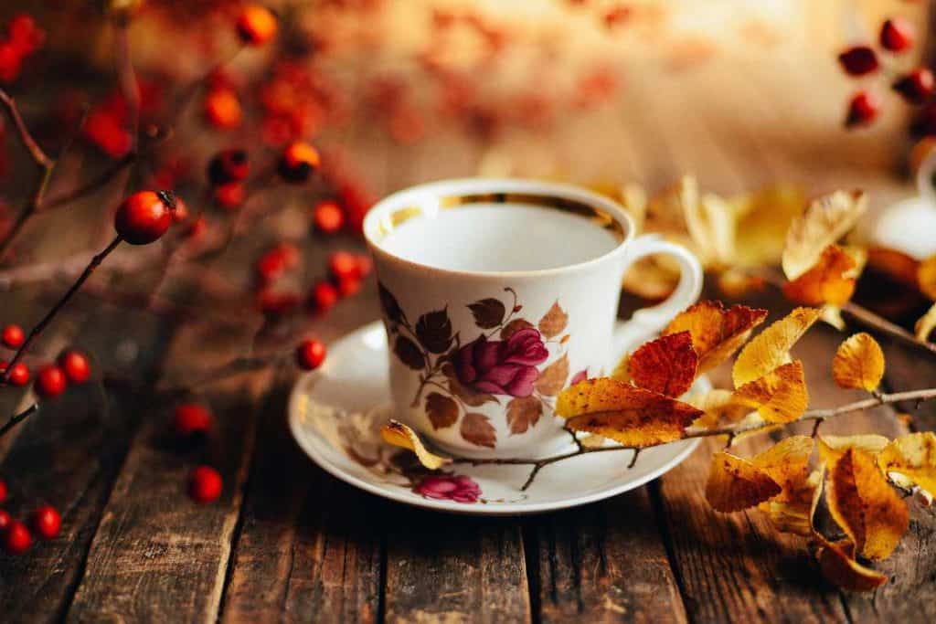 A beautiful china cup and saucer on a wooden table with berries and leaves