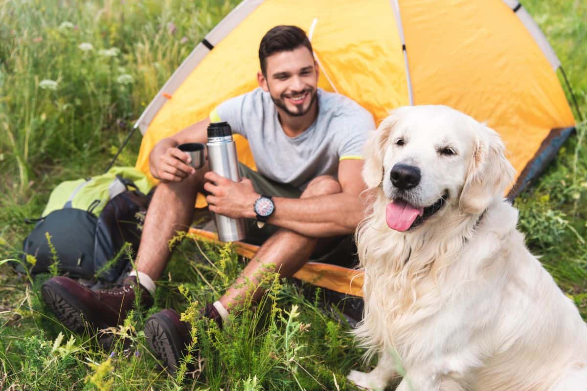 A man and a dog sitting in a field and there is a yellow tent they are camping in.
